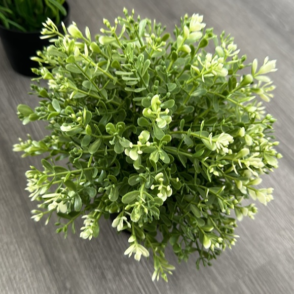 IKEA Set of 3 Faux Greenery - Picture 7 of 9